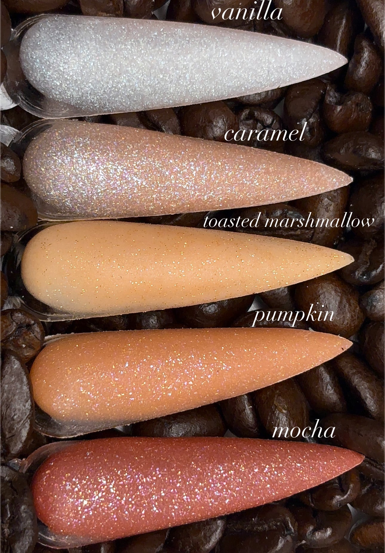 The Latte Lovers Collection